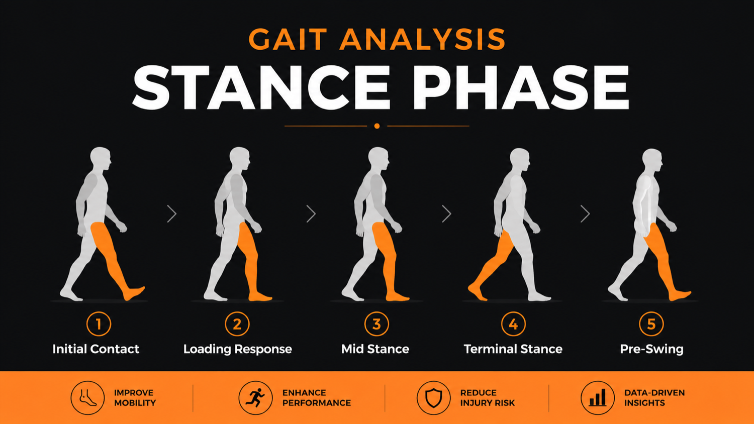 The five sub-phases of the stance phase of gait: initial contact, loading response, mid-stance, terminal stance, and pre-swing.